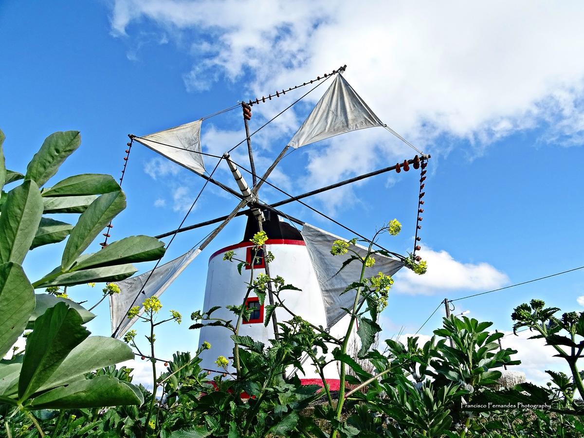 Estudio Mateus Villa Areia Branca Bagian luar foto